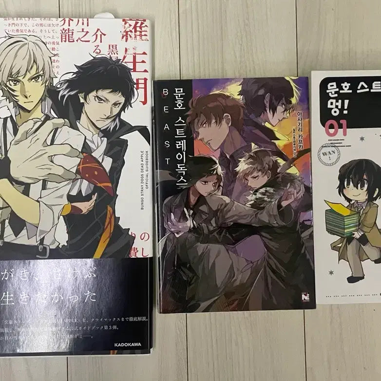 [BUNJANG] Bungo Stray Dogs Book Set / 문스독 책 판매