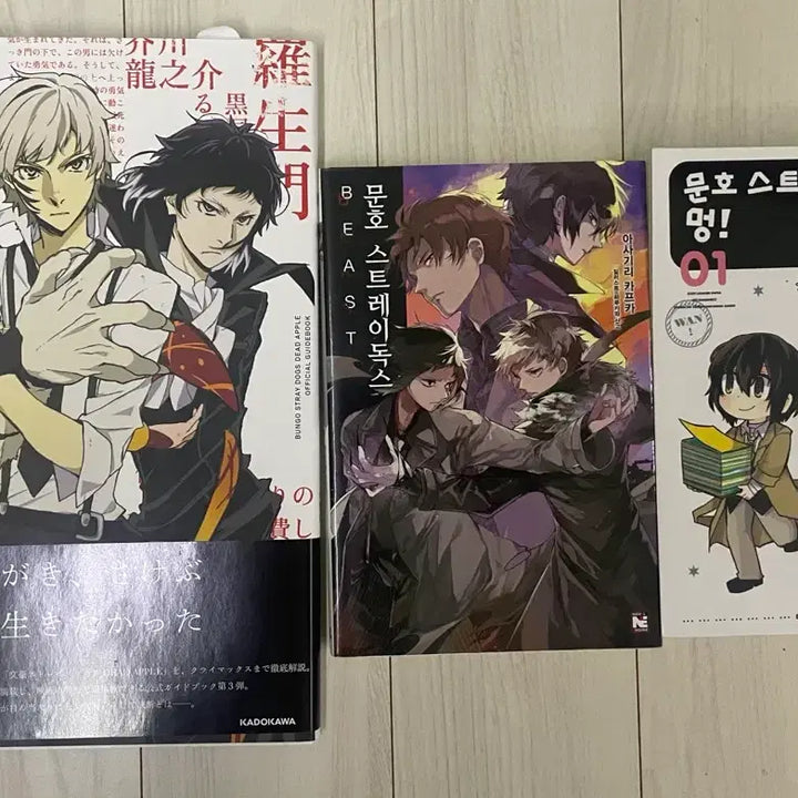[BUNJANG] Bungo Stray Dogs Book Set / 문스독 책 판매