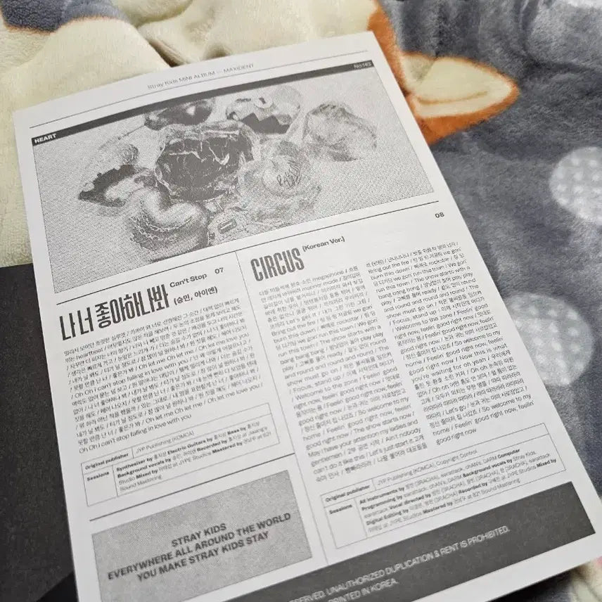 [BUNJANG] Stray Kids Maxident Limited Edition Album / 스트레이키즈 맥시던트 한정반 앨범