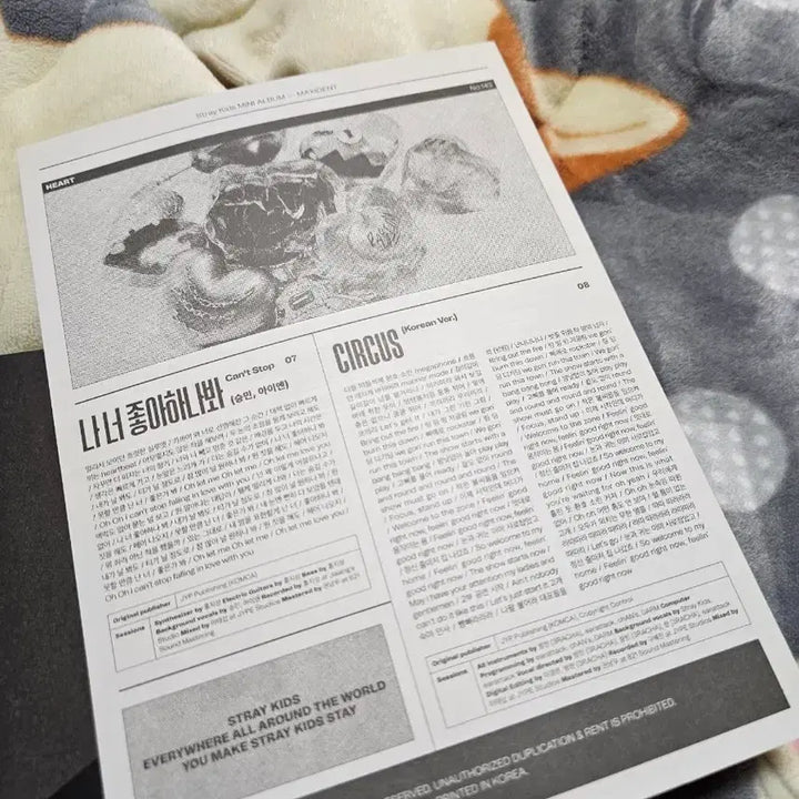 [BUNJANG] Stray Kids Maxident Limited Edition Album / 스트레이키즈 맥시던트 한정반 앨범