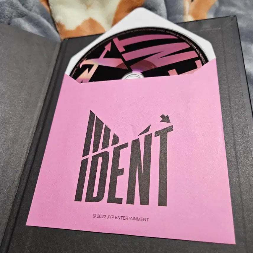 [BUNJANG] Stray Kids Maxident Limited Edition Album / 스트레이키즈 맥시던트 한정반 앨범