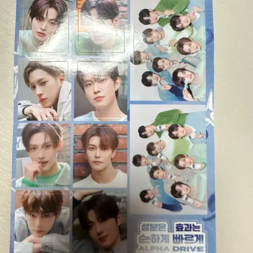 [BUNJANG] AlphaDriveOne Bring Green Sticker / 알디원 브링그린 스티커 알파드라이브원