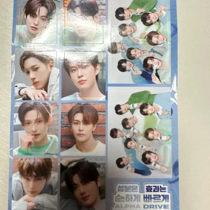 [BUNJANG] AlphaDriveOne Bring Green Sticker / 알디원 브링그린 스티커 알파드라이브원