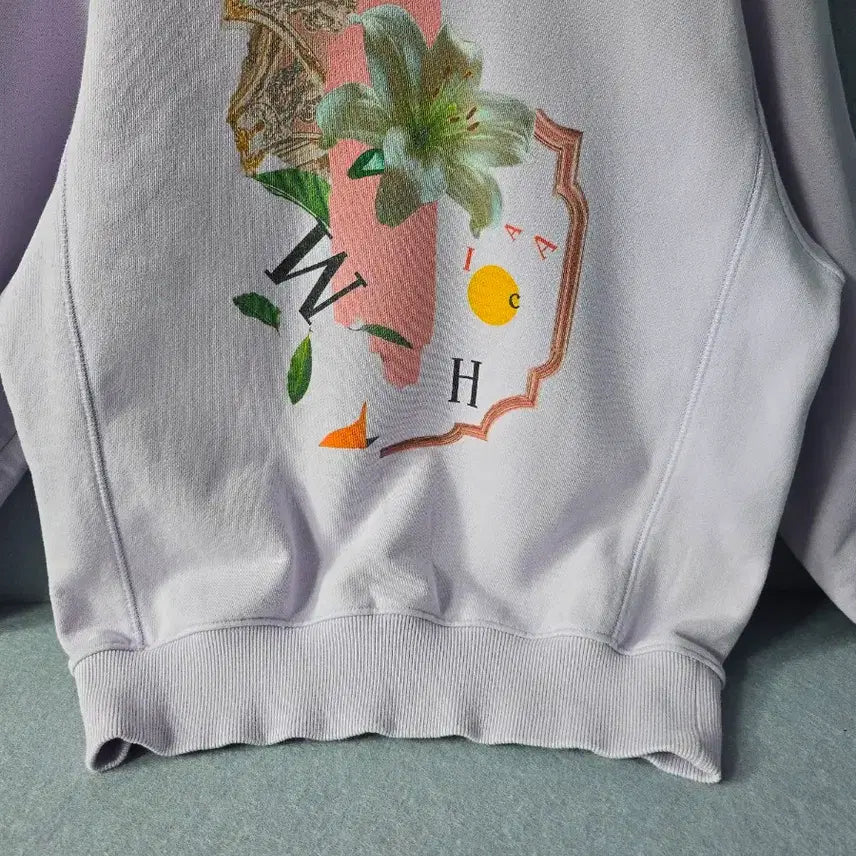 [BUNJANG] It MICHAA Graphic Printed Sweatshirt / 잇미샤  그래픽프린팅  맨투맨 스웻셔츠