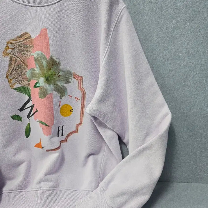 [BUNJANG] It MICHAA Graphic Printed Sweatshirt / 잇미샤  그래픽프린팅  맨투맨 스웻셔츠