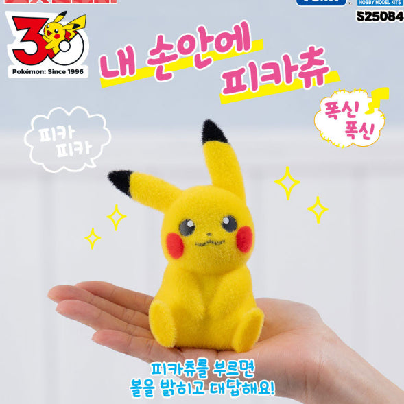 [BUNJANG] Pokemon 30th Anniversary Pikachu Figure / 포켓몬 30주년 내 손안에 피카츄