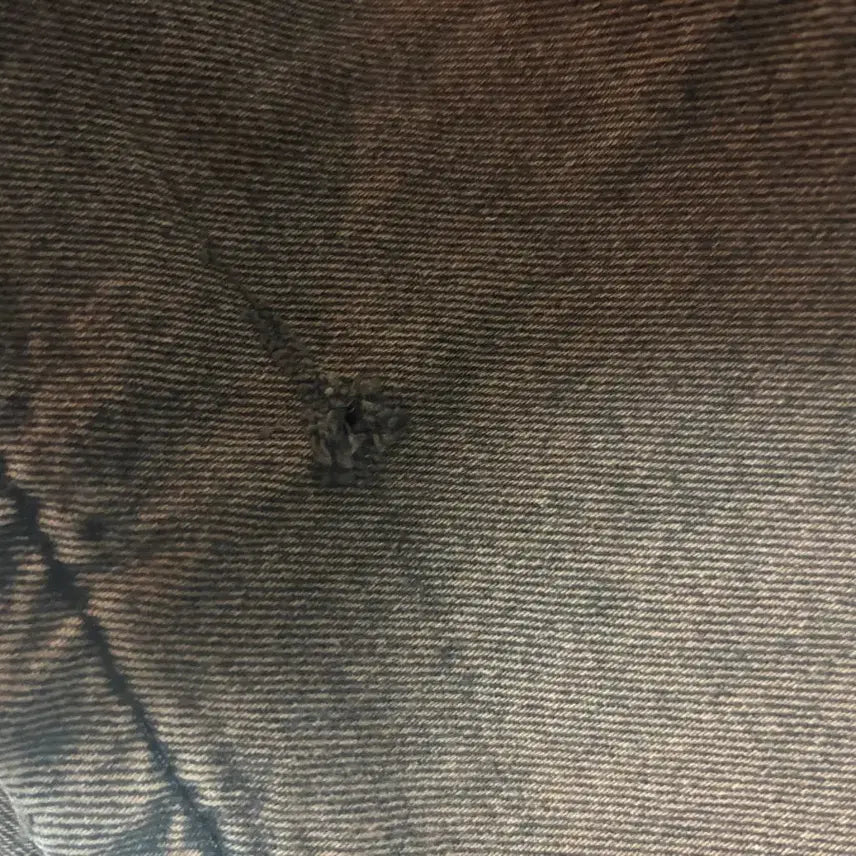 [BUNJANG] Polar Big Boy Brown (S) Pants / 폴라 빅보이 브라운 (s)