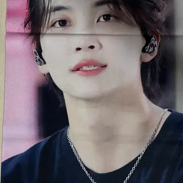 [BUNJANG] SEVENTEEN Jeonghan Reflective Slogan and Photocard / 세븐틴 정한 반사슬로건 판매 양도 / 포카 인형