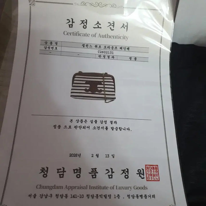 [BUNJANG] Celine Triomphe Chain Bag Striped / 셀린느 트리옹프 체인백 (새상품급 급처)