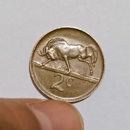 [BUNJANG] South Africa 1988 2 Cent Coin / 남아프리카 1988년 2센트 동전(외국주화)30
