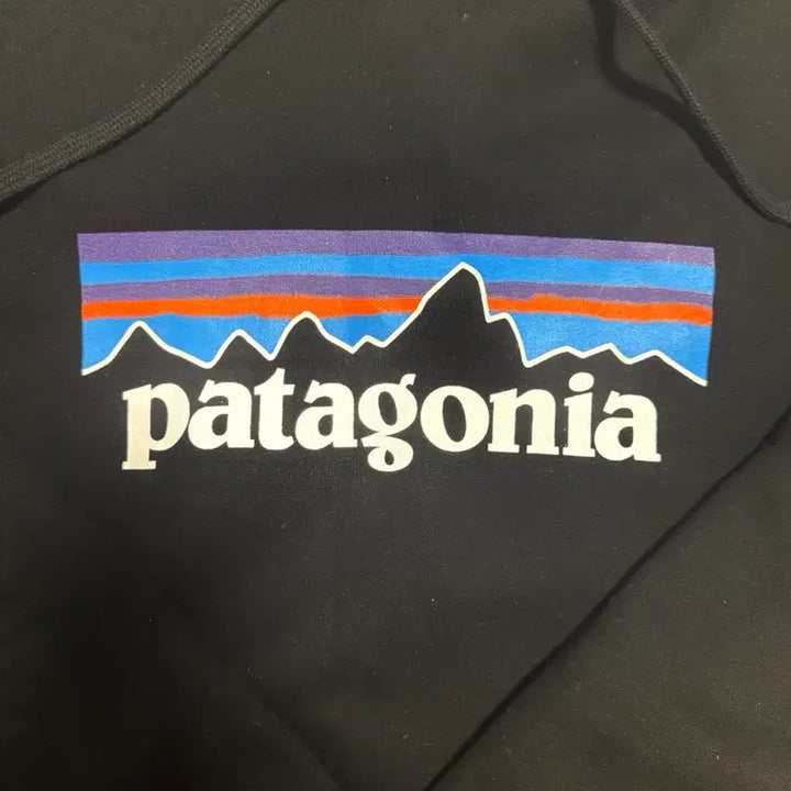 [BUNJANG] Patagonia Hooded Sweatshirt S / 파타고니아 후드티 기모 S