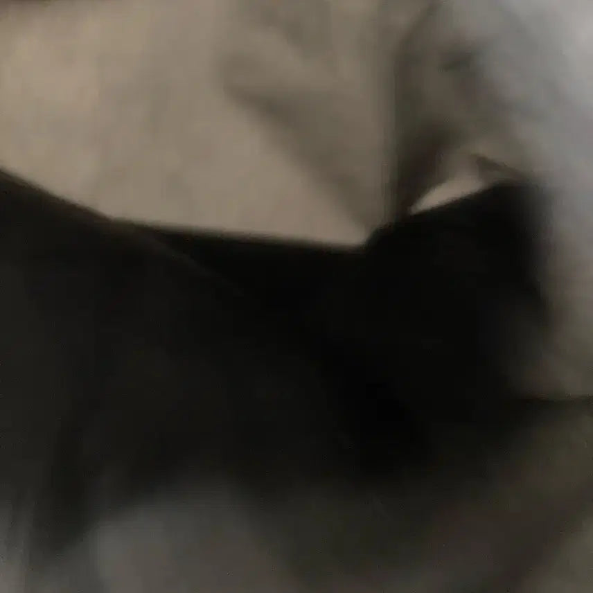 [BUNJANG] PEACEMINUSONE String Bag / 피스마이너스원 스트링백팔아요