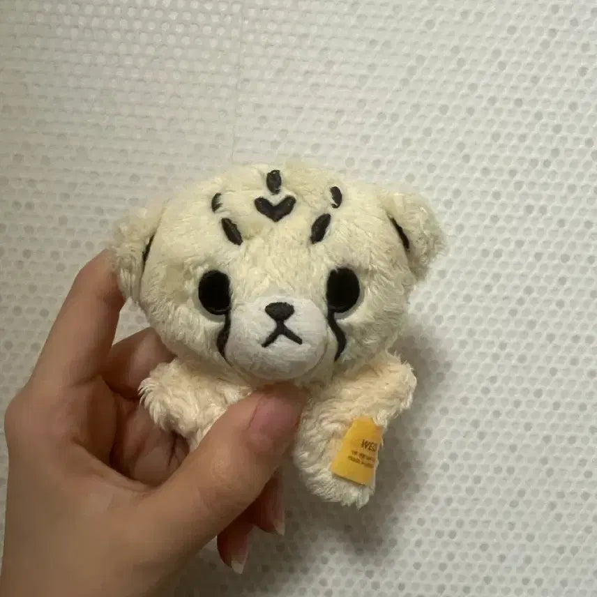 [BUNJANG] Chitali Doll / 치타리