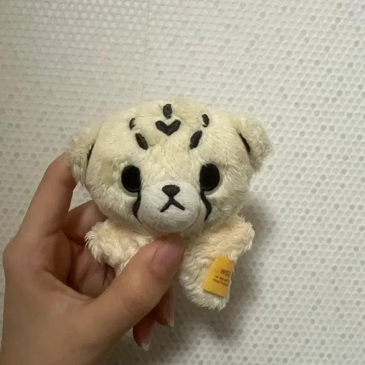 [BUNJANG] Chitali Doll / 치타리