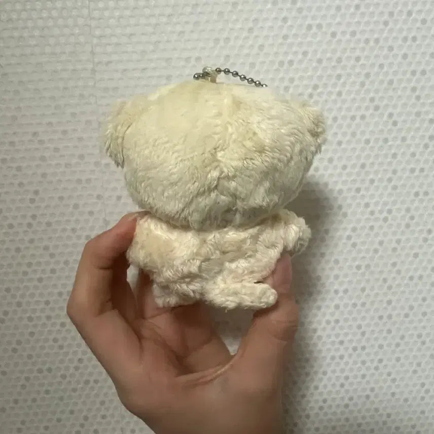 [BUNJANG] Chitali Doll / 치타리