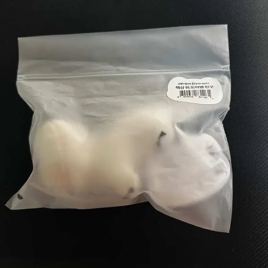 [BUNJANG] Geodamchulgun Lizard Doll / 괴담출근 괴출 책상 위 도마뱀 인형 게롱 양도