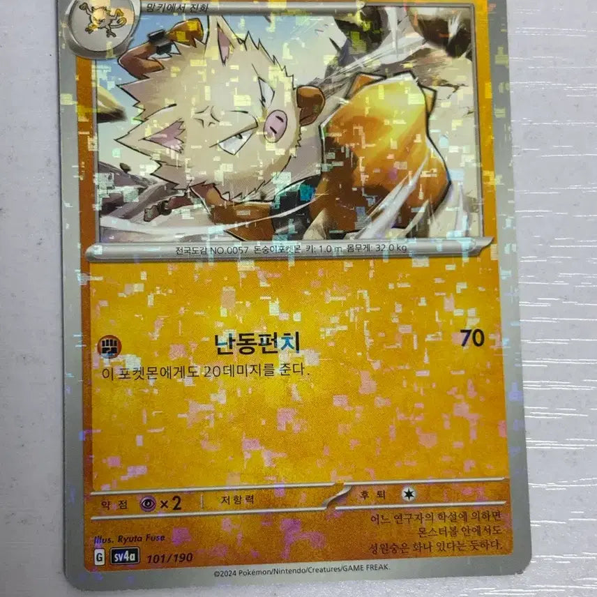 [SOLD OUT] [귀여운 포켓몬카드] 성원숭 샤트버블레어