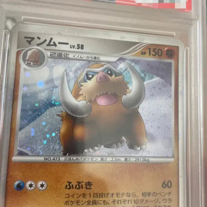 [BUNJANG] Pokemon Mamoswine Card PSA 9 Spiral Pattern / 포켓몬 카드 맘모꾸리 psa9 소용돌이 문양 판매