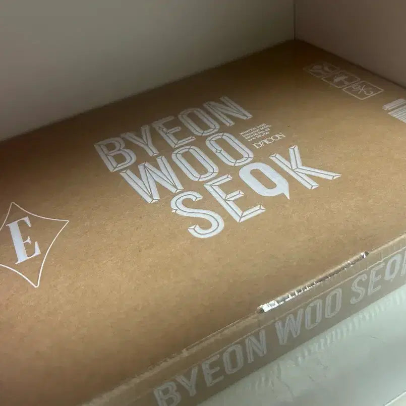 [BUNJANG] Byeon Woo Seok Dicon E Type Sealed POB / 변우석 디아이콘 E타입 미개봉 새상품 카카오 특전 포함