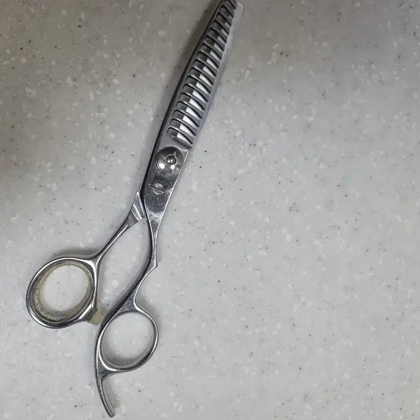 [BUNJANG] Joewell Blunt & Tokuma Thinning Shears Set / 조웰블런트5.5인치,도쿠마틴닝25%두자루30만원에팝니다