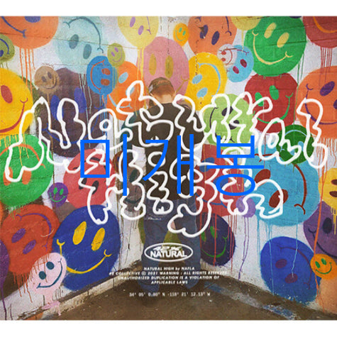 [BUNJANG] Nafla Natural High CD (Sealed) / [미개봉] 나플라 (Nafla) - Natural High (CD)
