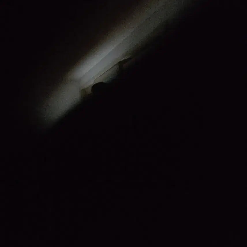 [BUNJANG] Old Korean Book / 문고서러러이라이라이라이