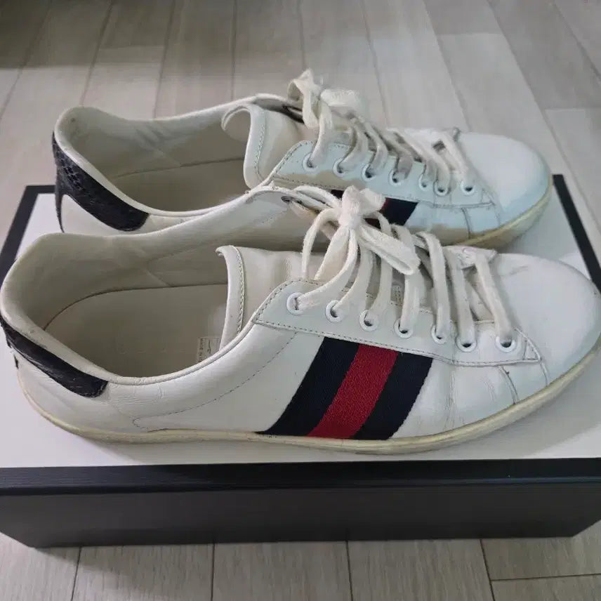 [BUNJANG] Gucci Sneakers UK8 / 구찌 스니커즈 270팝니다