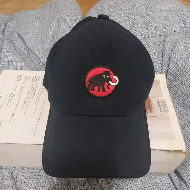 [BUNJANG] Mammut Hat / 마무트 모자