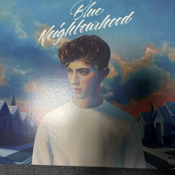 [BUNJANG] Troye Sivan LP Bundle Set / 트로이 시반(Troye Sivan) Lp 일괄 판매합니다