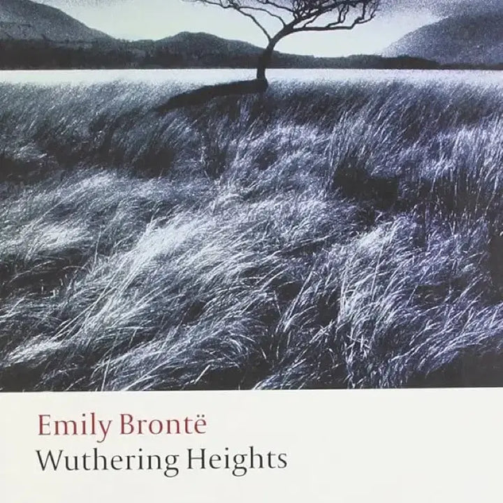 [BUNJANG] Wuthering Heights Novel Book / 폭풍의 언덕 원서 도서 서적 소설 문학 영국문학 낭만주의 문학 고딕 소설
