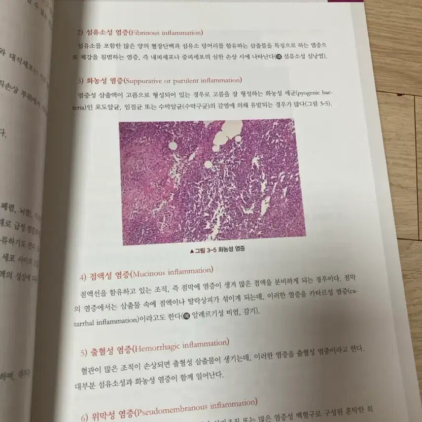 [BUNJANG] Clinical Pathology 7th Edition Textbook / 임상병리학