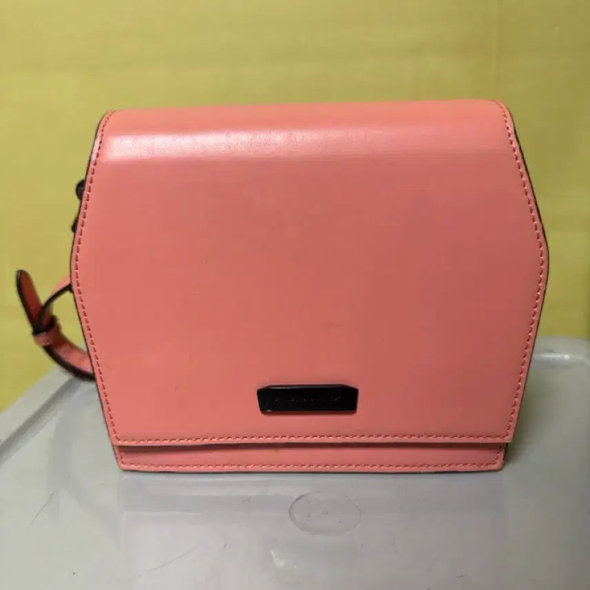 [BUNJANG] Charles & Keith Coral Crossbody Bag / 찰스앤키스 코랄 크로스백