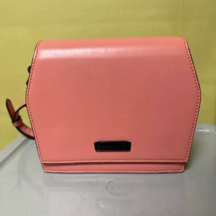 [BUNJANG] Charles & Keith Coral Crossbody Bag / 찰스앤키스 코랄 크로스백