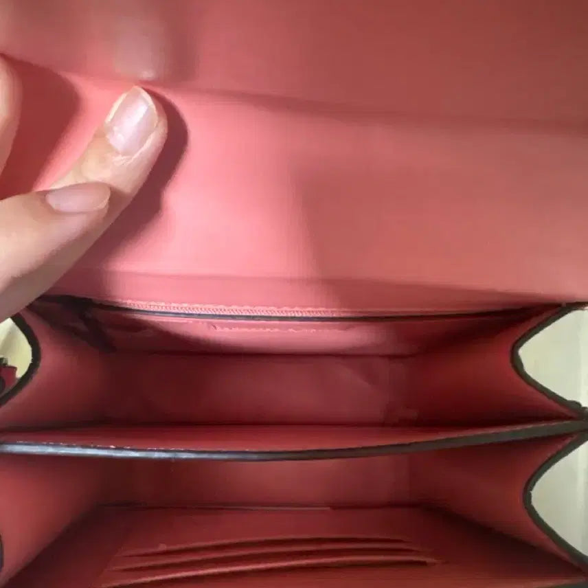 [BUNJANG] Charles & Keith Coral Crossbody Bag / 찰스앤키스 코랄 크로스백