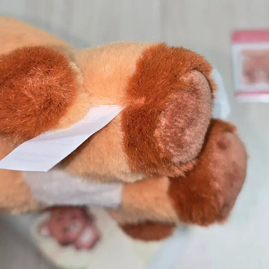 [BUNJANG] Dreamies Jjoppeu Doll / 드리미즈 쪼푸 해찬 인형