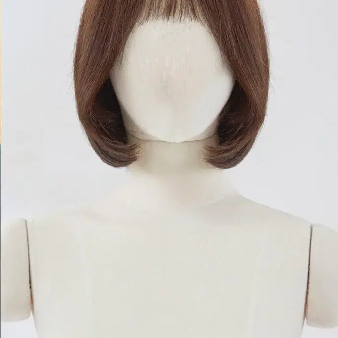 [BUNJANG] Pinkage Human Hair Handmade Wig Short / 핑크에이지 인모 수제통가발 단발 (인모50%)