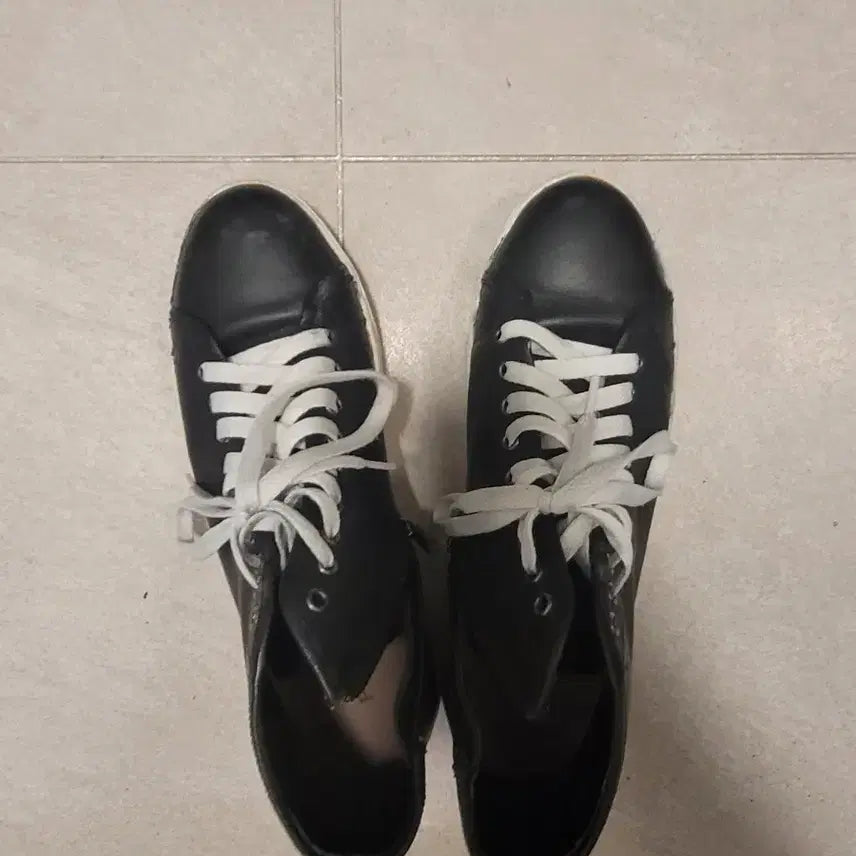[BUNJANG] Stefano Rossi High Sneakers 255 / 스테파노로시 스니커즈 하이 255