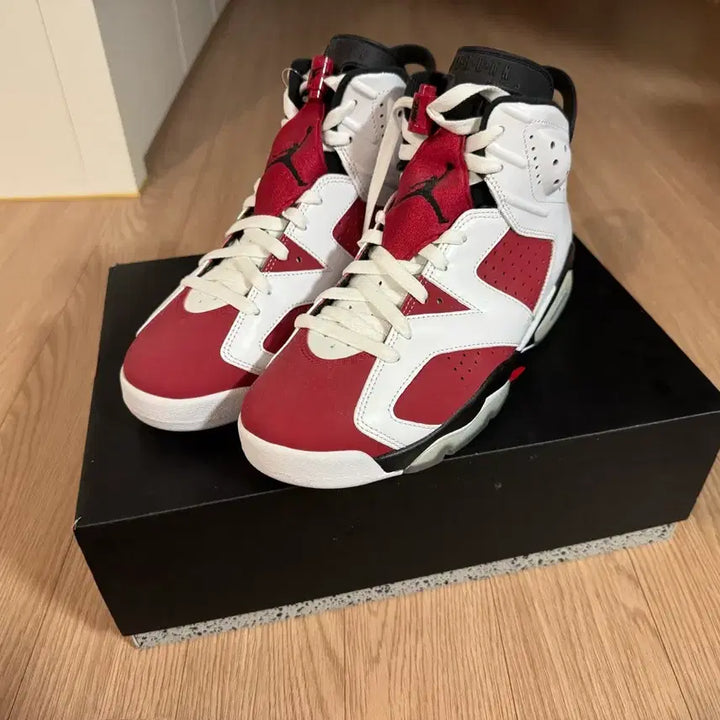 [BUNJANG] Nike Air Jordan 6 Retro Carmine Sneakers / 나이키 에어 조던6 레트로 카마인 265