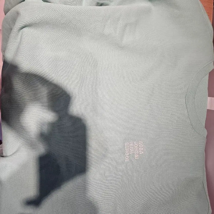 [BUNJANG] EIST x Haikyu!! Aoba Josai Sweatshirt Mint / 이이스트x하이큐!! 스쿨 스웻 셔츠 민트