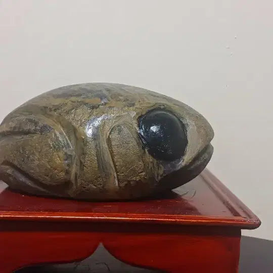 [BUNJANG] Stromatolite Stone / 수석(스트로마톨 라이트)