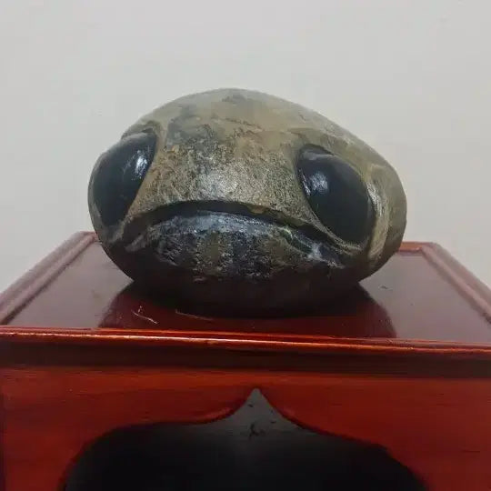 [BUNJANG] Stromatolite Stone / 수석(스트로마톨 라이트)