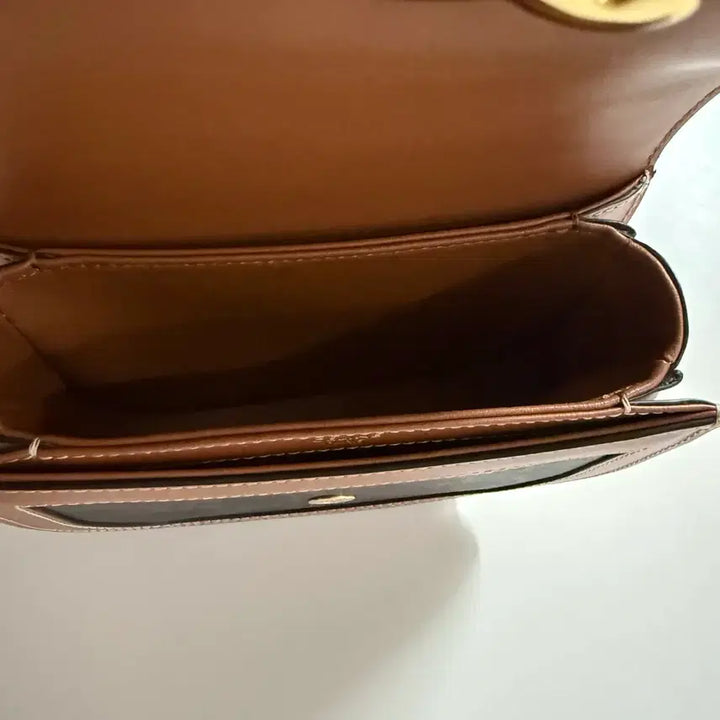 [BUNJANG] Celine Mini Clea Besace Triomphe Bag / 셀린느 미니 클레아 베사체 트리오페