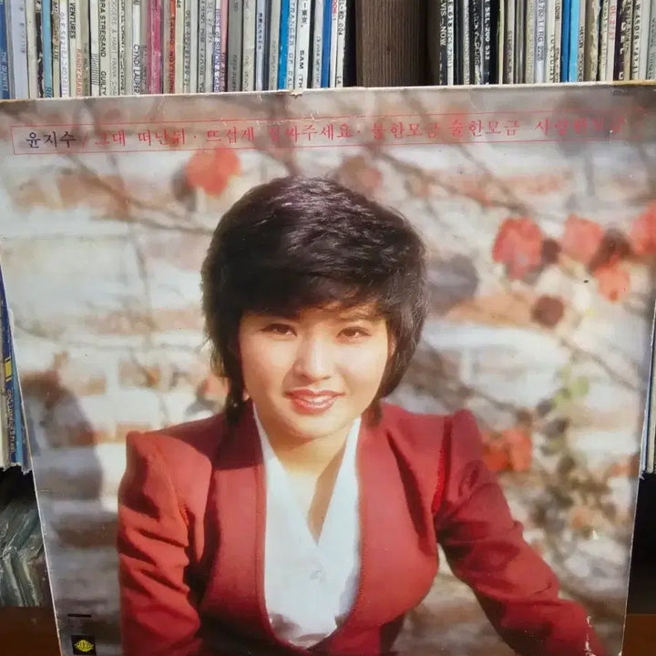[BUNJANG] Yoon Jisoo LP Record Album / 윤지수 LP 음반 레코드판