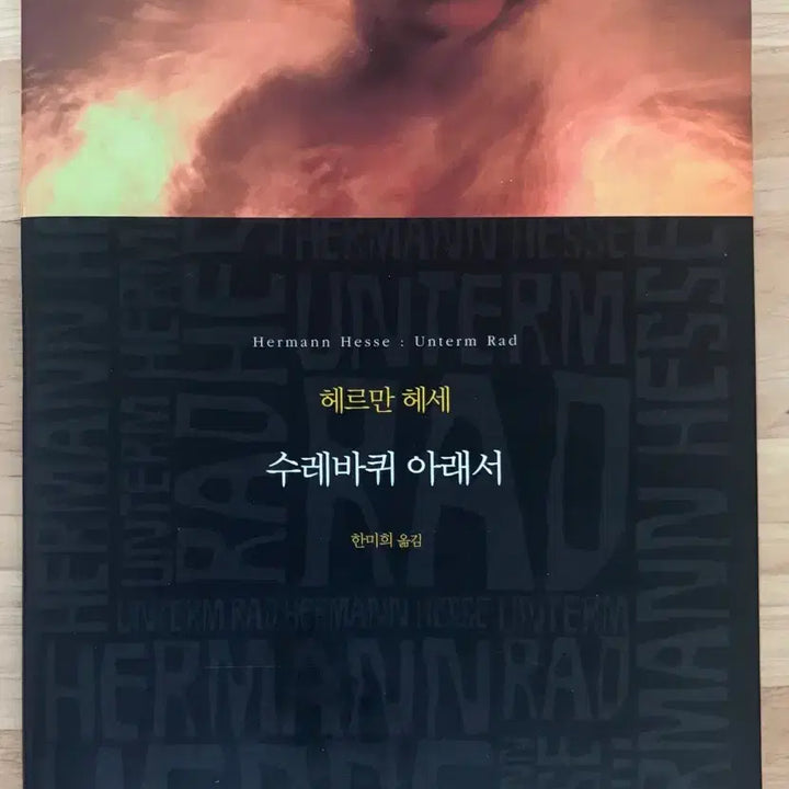 [BUNJANG] Various Authors' Books / 책 도서 판매 정유정 헤르만헤세 천선란 히가시노게이고 가면산장살인사건