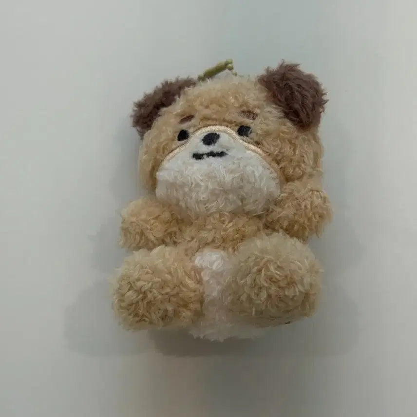 [SOLD OUT] 데이식스 앉은멀즈 싯팅쁘띠멀즈 돈