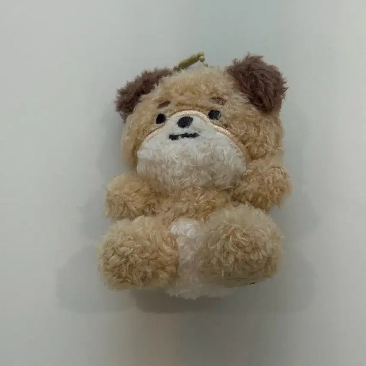 [SOLD OUT] 데이식스 앉은멀즈 싯팅쁘띠멀즈 돈