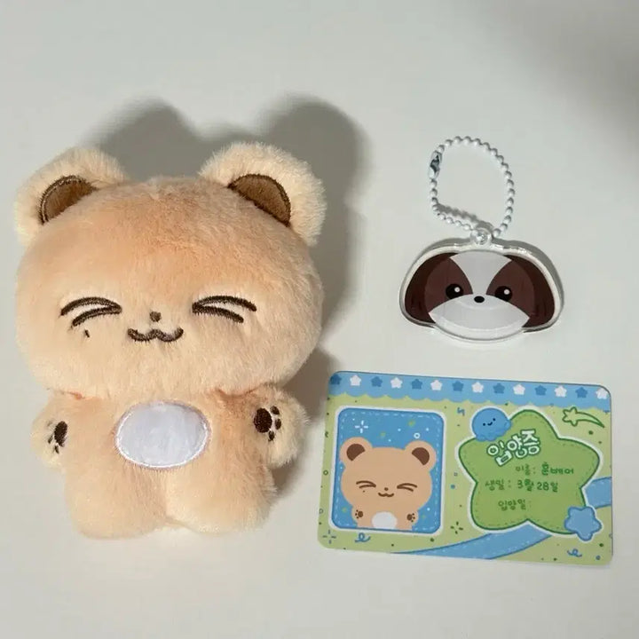 [BUNJANG] 투어스 지훈인형(훈베어) / 투어스 지훈인형(훈베어)