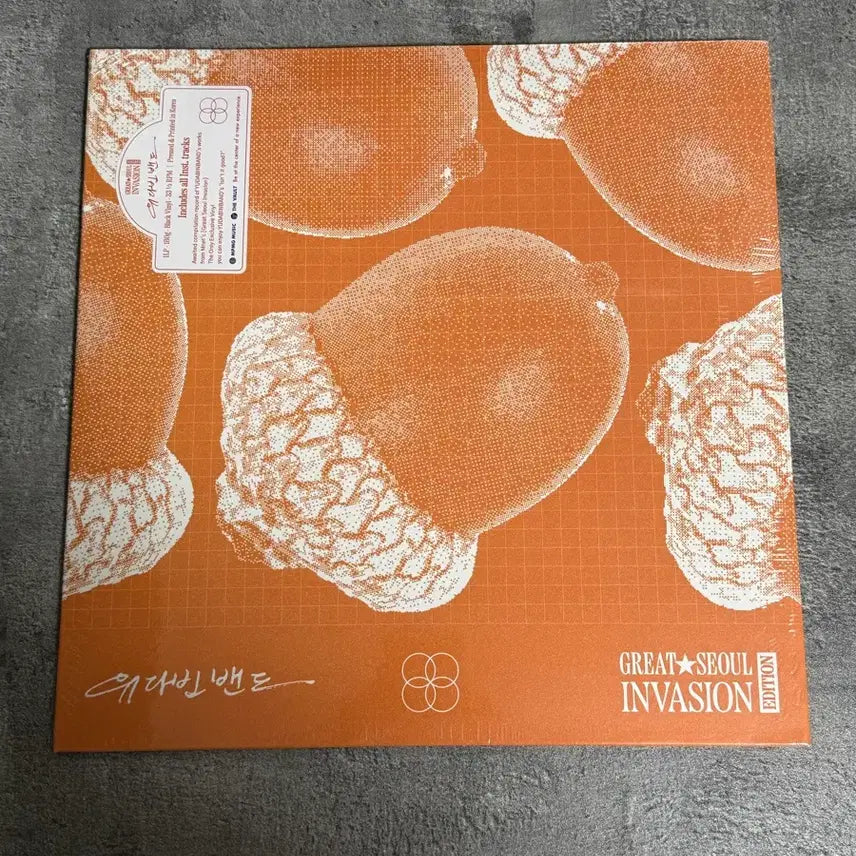 [SOLD OUT] 유다빈밴드 YDBB gsi LP