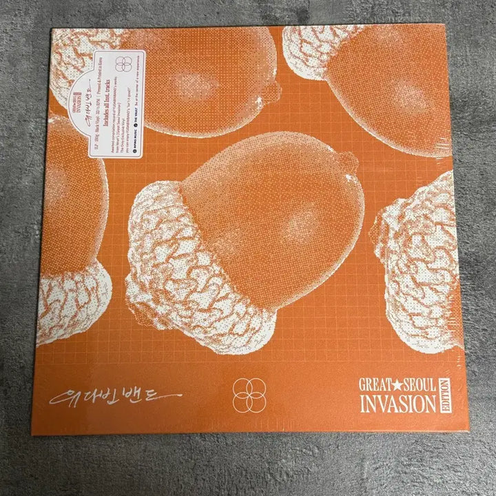 [SOLD OUT] 유다빈밴드 YDBB gsi LP