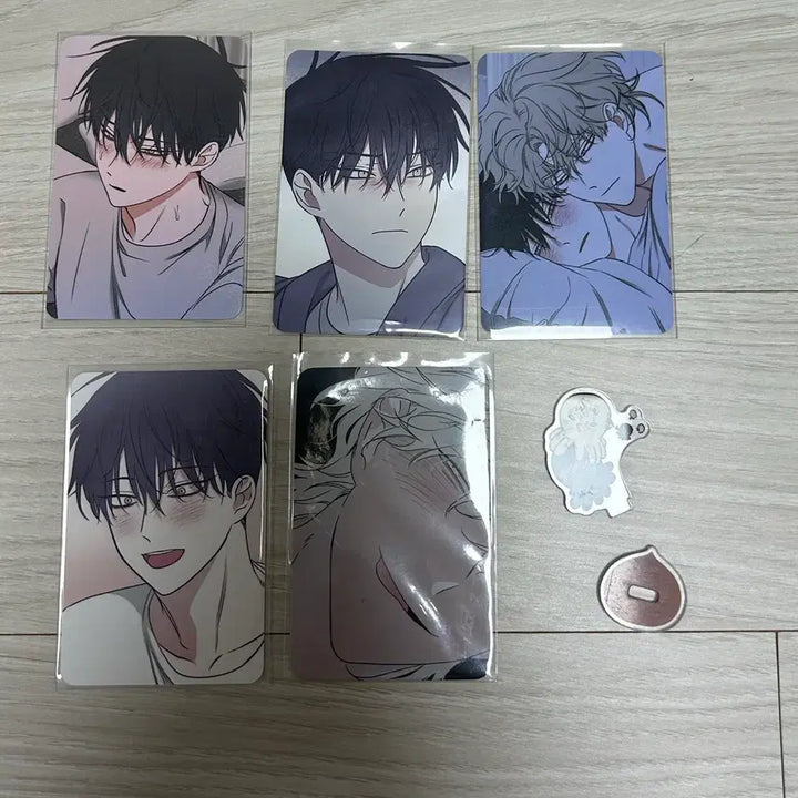 [BUNJANG] Mulbam Mulga's Night Photocard Bundle Set / 물밤 물가의 밤 포카 일괄